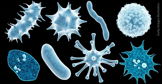 Các loại virus, vi khuẩn là nguyên nhân gây bệnh