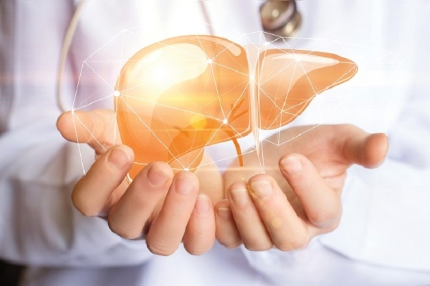 Cách bảo vệ lá gan tránh tác hại của gan nhiễm mỡ