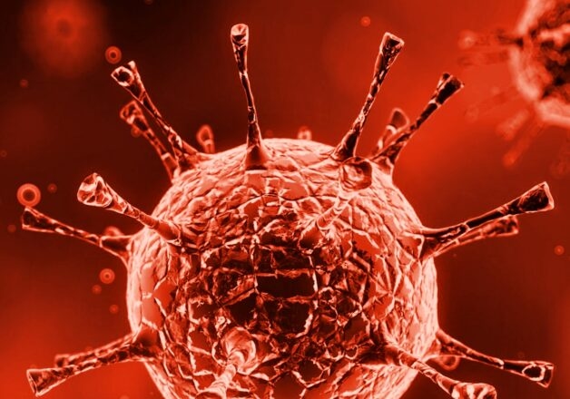 Tay chân miệng trẻ em là một bệnh truyền nhiễm cấp tính, phát sinh do virus họ Enterovirus.