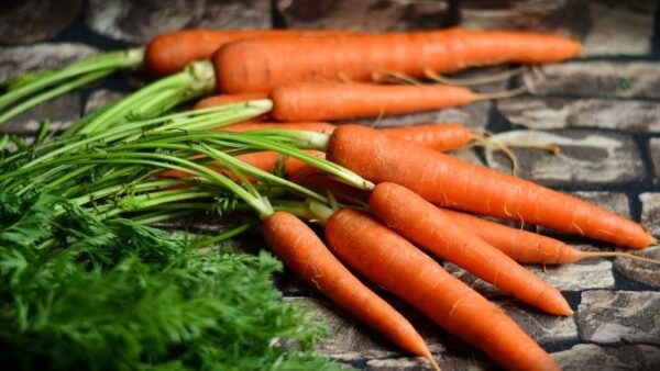 Cà rốt là một trong những gợi ý hàng đầu cho những người đối mặt với tình trạng đau mắt đỏ.