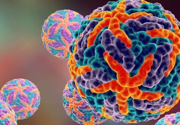 Sốt xuất huyết ở trẻ em có nguyên nhân phát sinh là virus Dengue. 