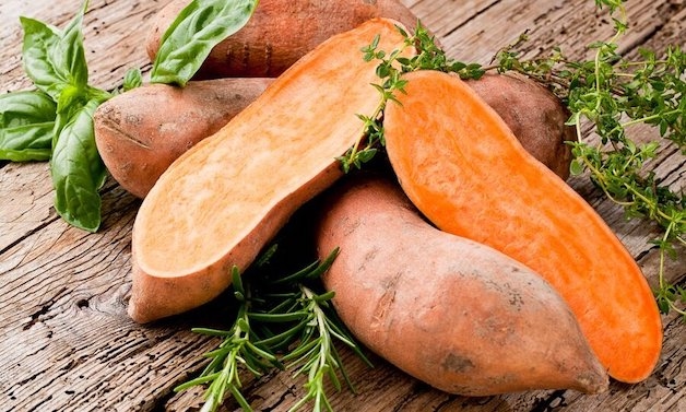 Khoai lang- thực phẩm không thể thiếu trong thực đơn cho người bệnh trĩ