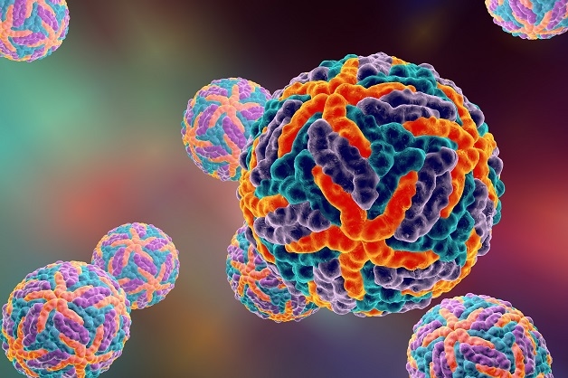 Virus Dengue là nguyên nhân gây bệnh sốt xuất huyết