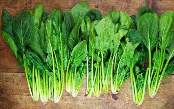 Trào ngược dạ dày nên ăn rau gì