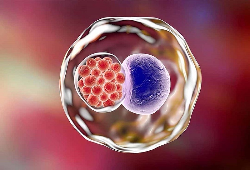 Bệnh Chlamydia lây nhiễm qua quan hệ tình dục không an toàn bằng đường miệng, bộ phận sinh dục, hậu môn