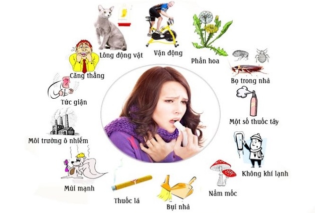 Nguyên nhân hen phế quản khởi phát