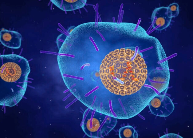 Virus Varicella Zoster (VZV) gây thủy đậu cũng như các loại virus khác, chưa có thuốc điều trị đặc hiệu.