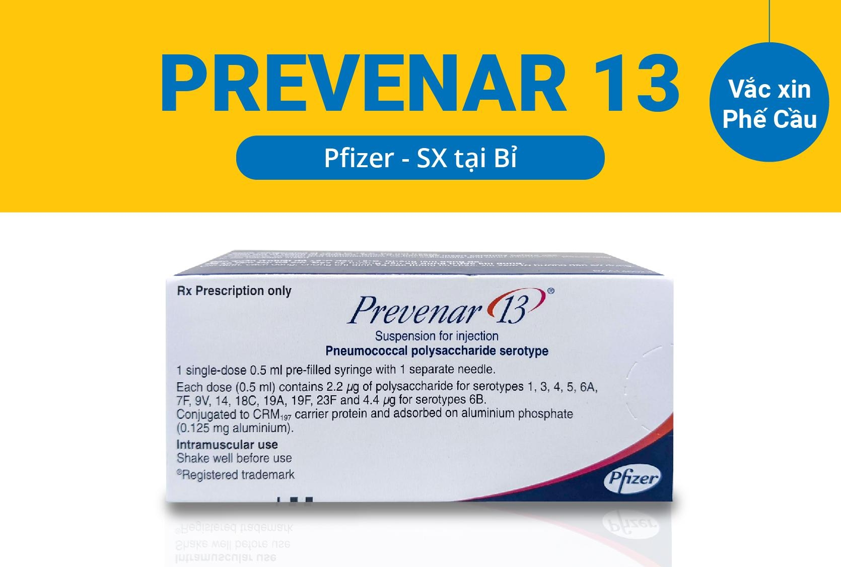 Tiêm vắc xin Prevenar 13 giúp cơ thể người được tiêm chủ động sinh ra kháng thể chống lại những căn bệnh do phế cầu khuẩn