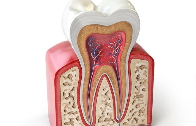 Yếu tố tác động điều trị tủy răng giá bao nhiêu