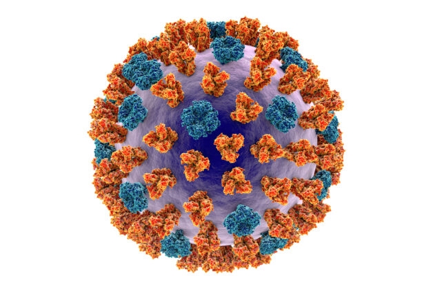 virus viêm phế quản cấp