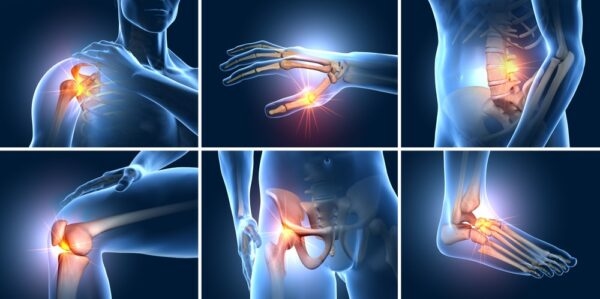 Phân loại khớp dựa theo cấu trúc sinh học