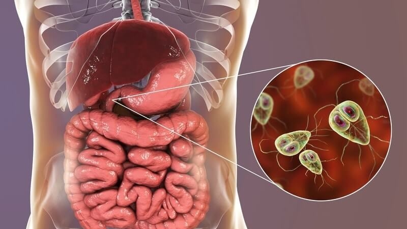Triệu chứng nhận biết của bệnh sán lá gan