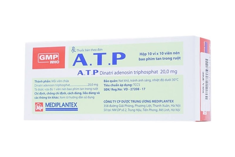 Thuốc A.T.P thường được chỉ định hỗ trợ điều trị cho người bị đau lưng, điều trị suy tim, hoạt động cơ kém, bệnh lý dạ dày
