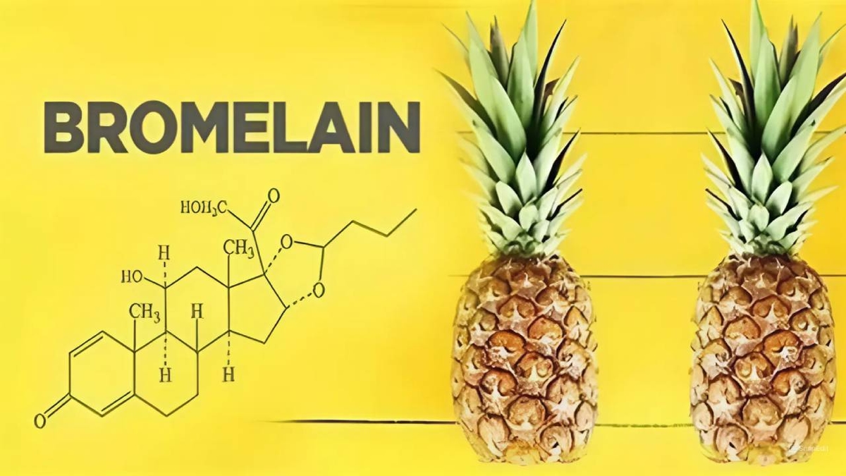 Bromelain &#8211; Thông tin thuốc và những lưu ý khi sử dụng