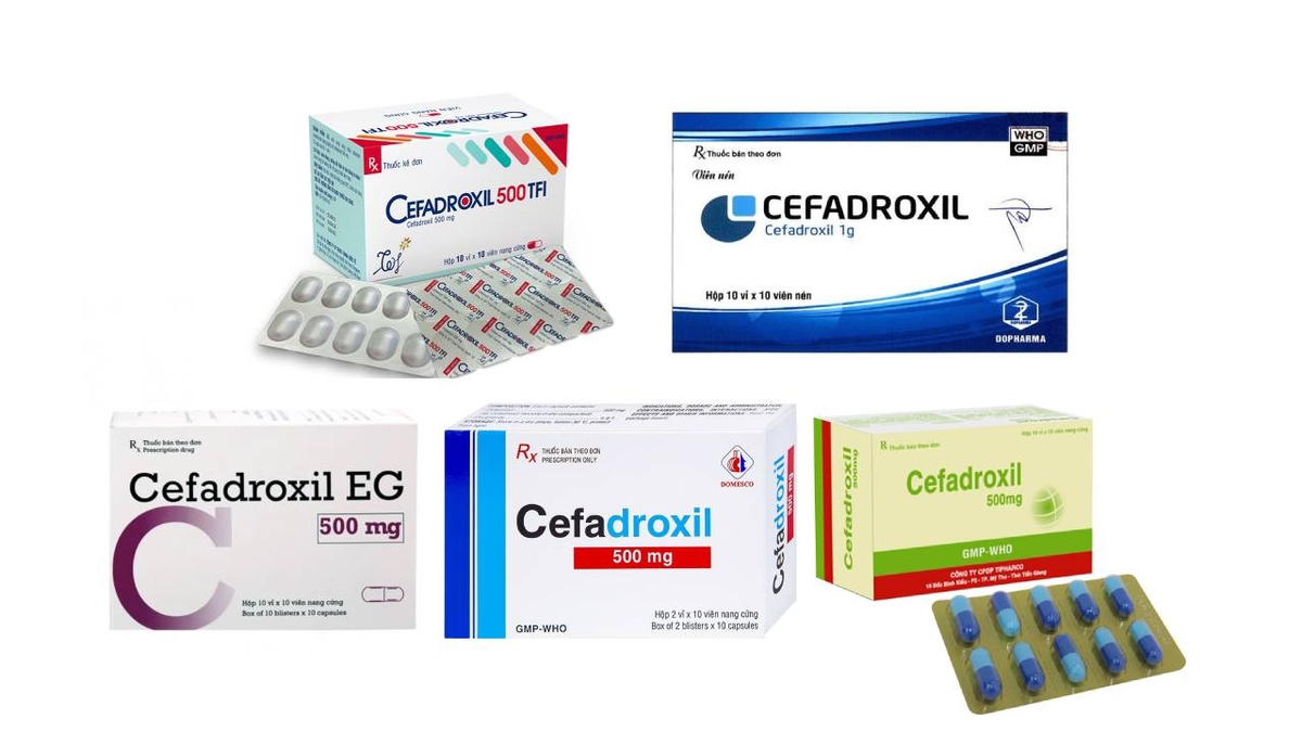 Cefadroxil &#8211; Thuốc kháng sinh điều trị nhiễm trùng do vi khuẩn