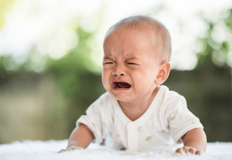 Bé đi tiêm vắc-xin về ít bú do cơ thể mệt mỏi