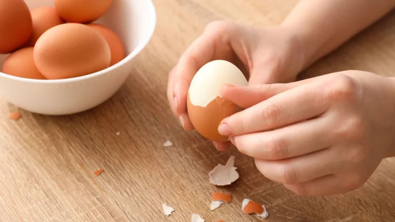 Những “lời đồn” về ăn trứng sau tiêm vacxin và sự thật
