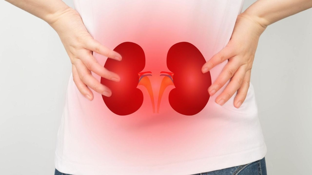 Thận ứ nước có nguy hiểm không &#8211; Lý giải từ chuyên gia