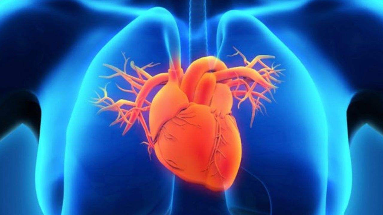 Bệnh suy tim: Nguyên nhân, triệu chứng và điều trị