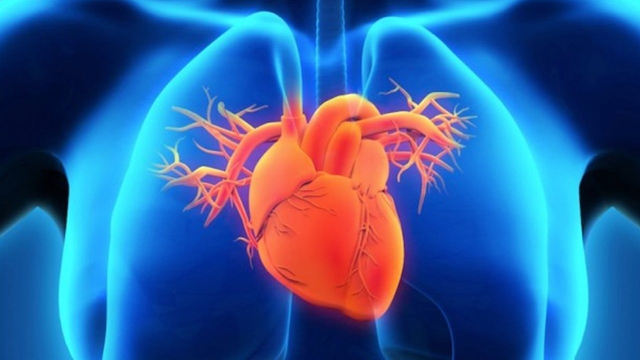 Bệnh suy tim: Nguyên nhân, triệu chứng và điều trị