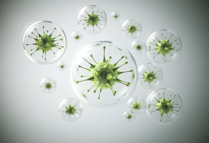 Đối với một số bệnh truyền nhiễm, như cúm, virus có thể thay đổi hình dạng (đột biến) theo thời gian.