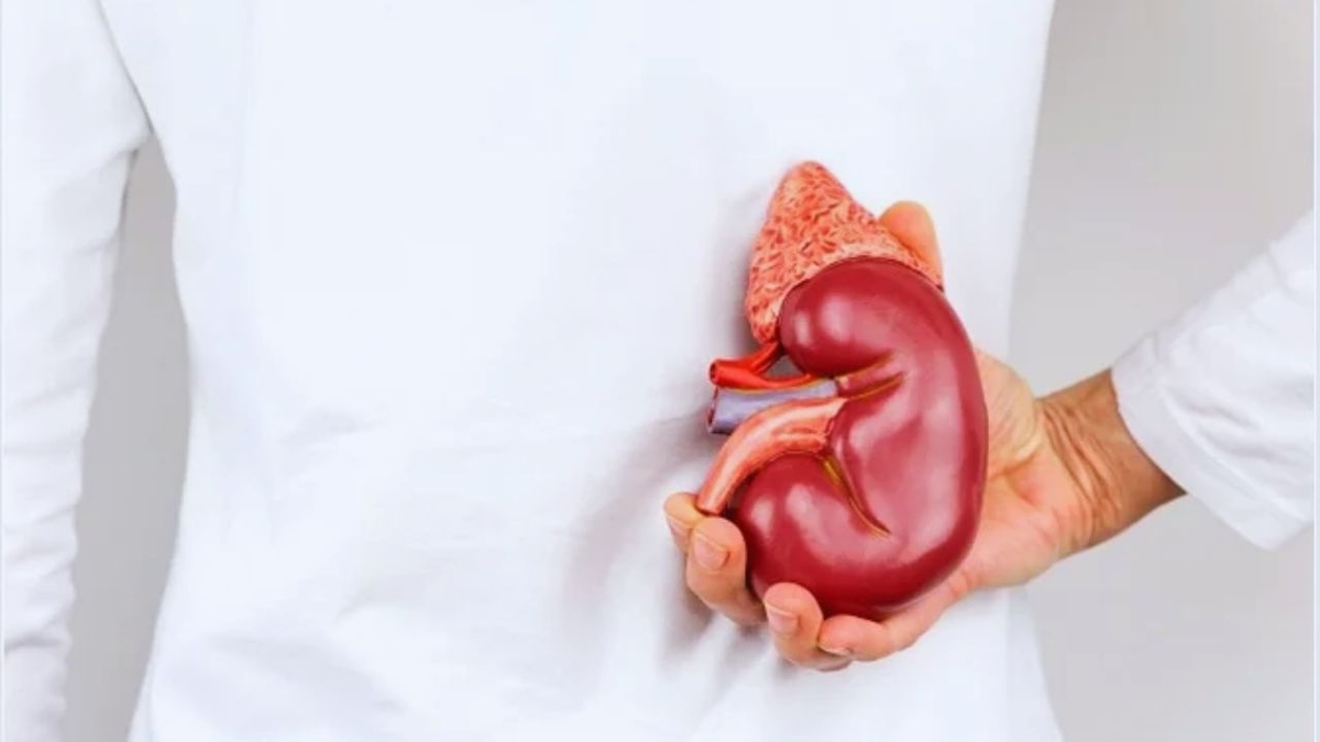 Thận bị ứ nước một bên có nguy hiểm không?