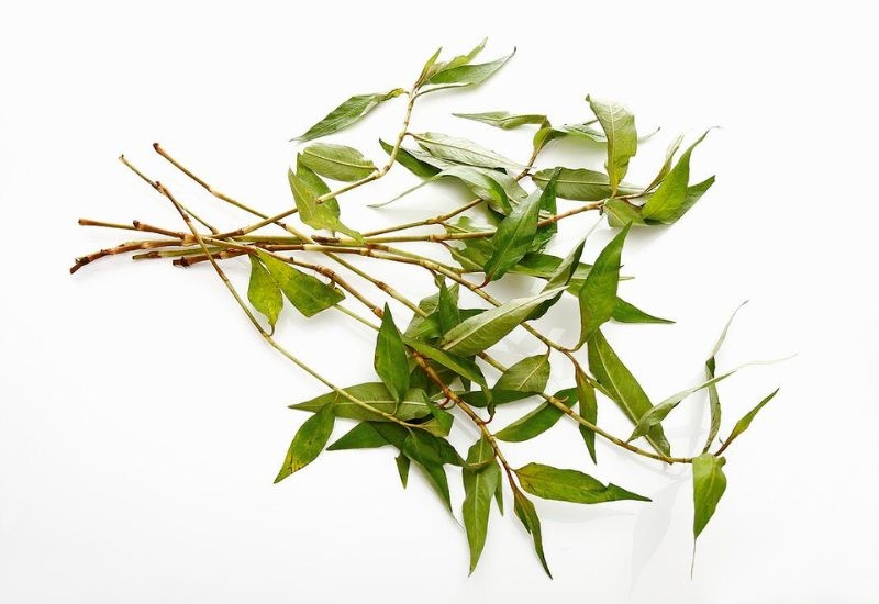 Bạn nên kết hợp trứng vịt lộn với các loại rau xanh như rau răm, dưa leo để tăng cường chất xơ, hỗ trợ tiêu hóa và giảm cảm giác nặng nề sau khi ăn.