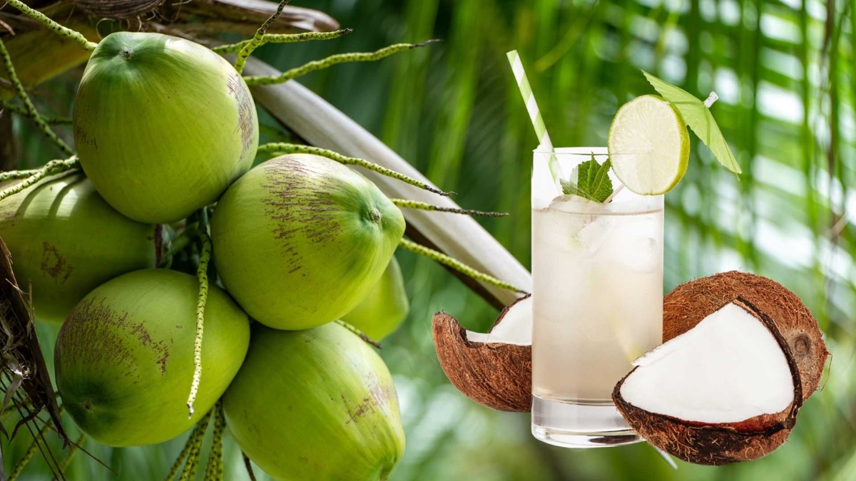 Uống nước dừa nhiều có tốt không &#8211; Những điều cần chú ý