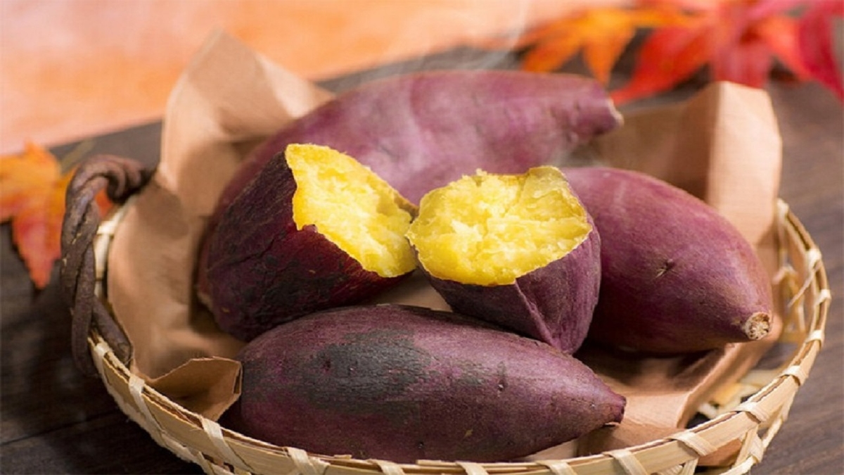 Bệnh trĩ ăn khoai lang được không?