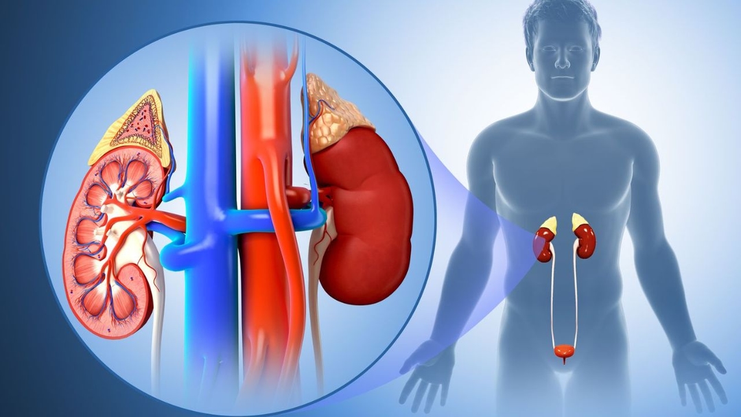 Bệnh thận ứ nước có nguy hiểm không nếu chỉ bị 1 bên