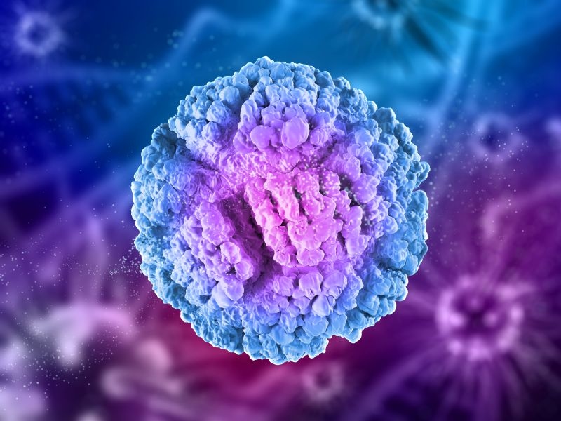 Virus này chủ yếu lây lan qua tiếp xúc tình dục, nhưng cũng có thể truyền qua tiếp xúc da hoặc sử dụng chung đồ vật trong một số trường hợp hiếm.