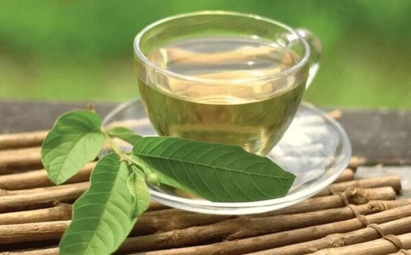 Một trong những lợi ích nổi bật của việc uống nước lá ổi là khả năng hỗ trợ kiểm soát lượng đường trong máu.