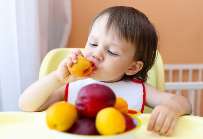 Bé mấy tháng ăn hoa quả là điều nhiều mẹ quan tâm để đảm bảo sức khỏe cho con trong giai đoạn đầu đời.