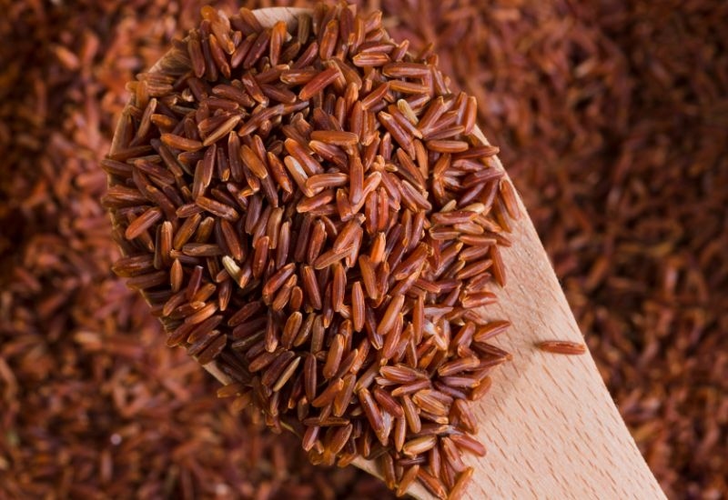 So với gạo trắng đã tinh chế, gạo lứt giàu chất xơ, vitamin nhóm B, vitamin E, khoáng chất như magie, kali, selen, mangan, và đặc biệt là các hợp chất chống oxy hóa.