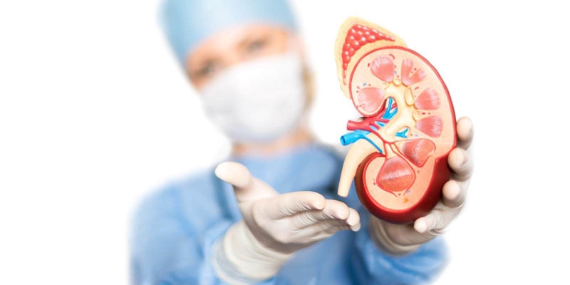 Thận là cơ quan không có khả năng tái tạo, do đó mọi tổn thương đều có thể để lại hậu quả lâu dài nếu không được kiểm soát kịp thời