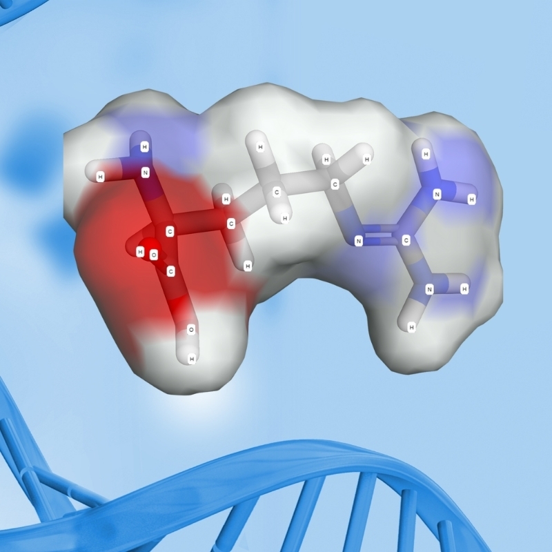 Arginine là một axit amin tự nhiên, được xem như một chất dinh dưỡng hỗ trợ chức năng cơ thể, không phải là hoạt chất dùng để can thiệp bệnh lý
