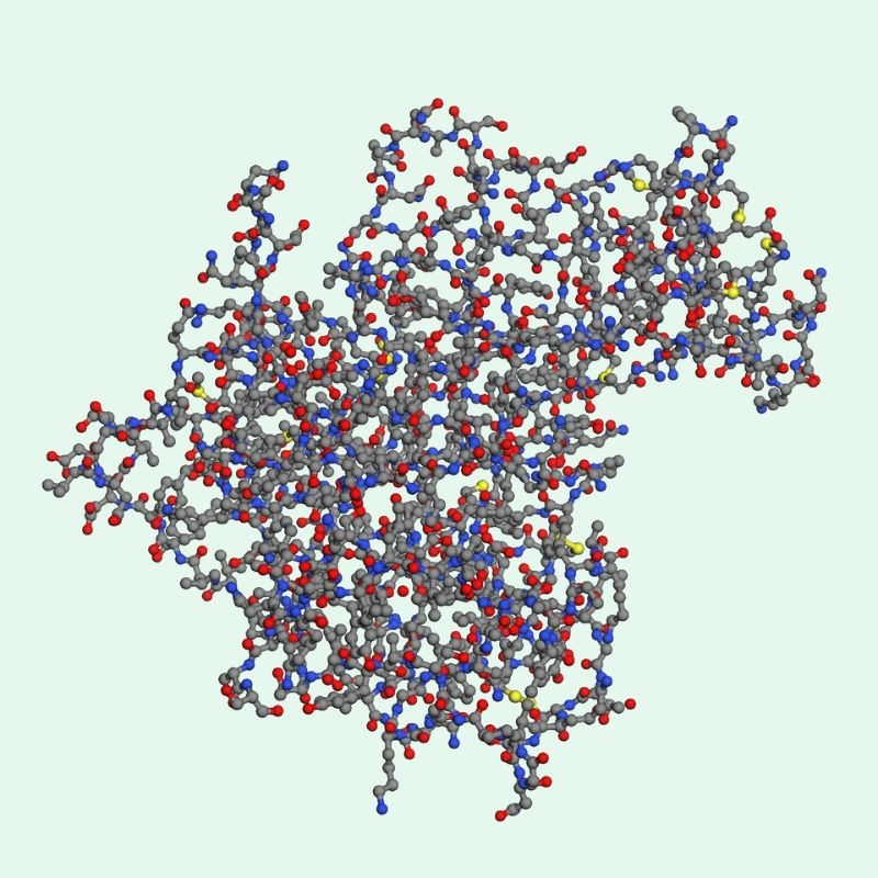 Bromelains là hoạt chất gì?
