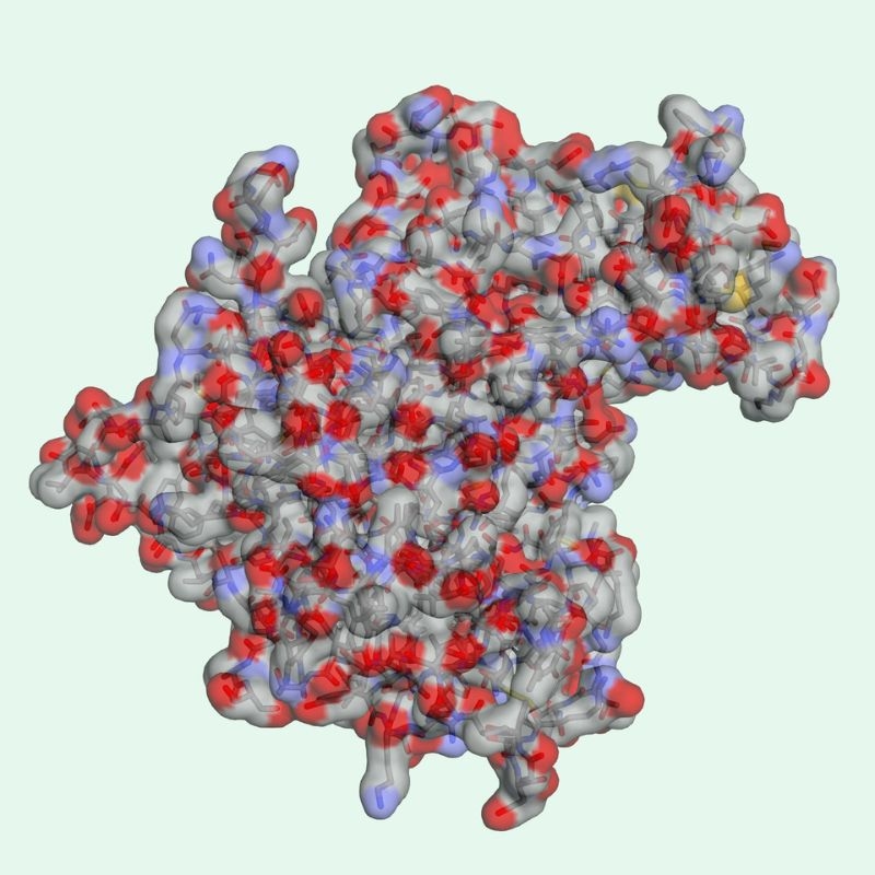 Lưu ý về bromelains