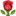 🌹