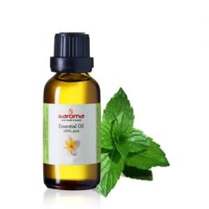 Dầu bạc hà đóng vai trò như một chất gây tê tạm thời, giúp bạn giảm cảm giác đau do sâu răng.