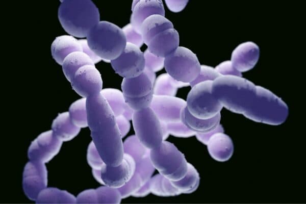 Vi khuẩn, virus là những tác nhân chính khiến trẻ mắc viêm tai giữa