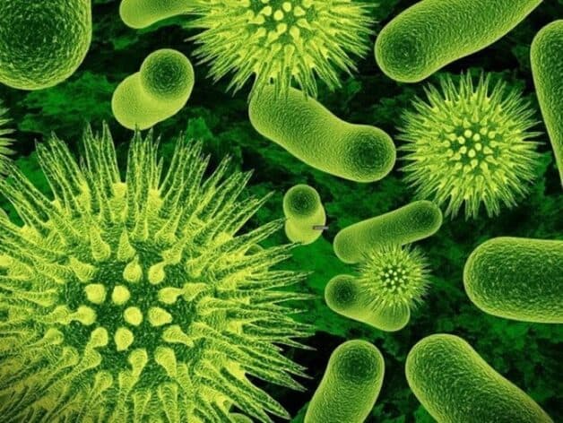 Nhiễm khuẩn hô hấp cấp tính phát sinh do virus