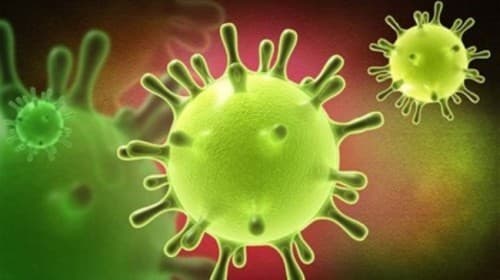 Virus gây viêm đường hô hấp cấp