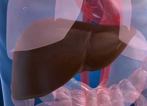 Cách điều trị bệnh gan nhiễm mỡ2