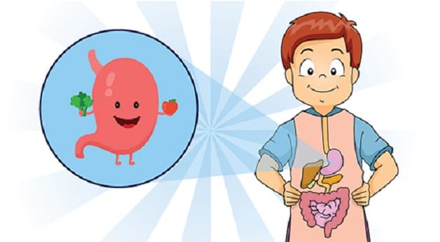 Hạn chế các thói quen có hại để Phòng ngừa các bệnh đường tiêu hóa