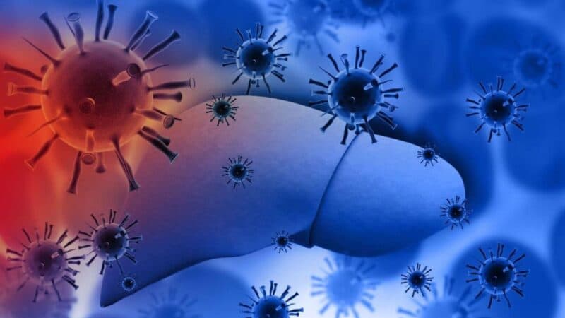 Viêm gan do virus tấn công