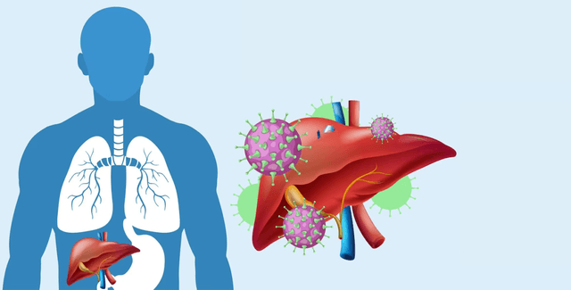 Xét nghiệm xơ gan bao gồm những gì?