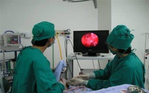 Nội soi dạ dày tại Bệnh viện Thu Cúc