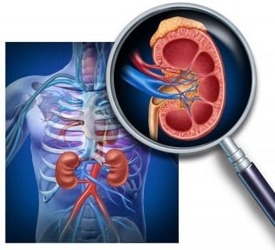 Nam giới bị suy thận có con được không - Yếu tố di truyền