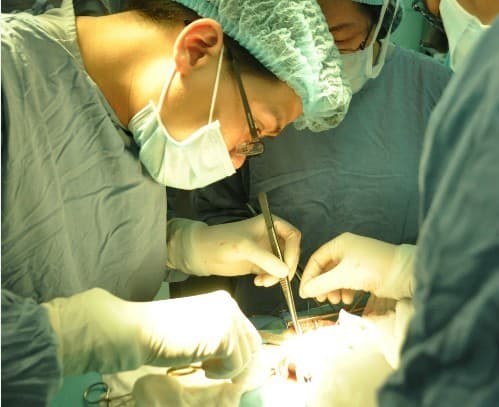 Ghép thận tại TP HCM. Ảnh minh họa: TP
